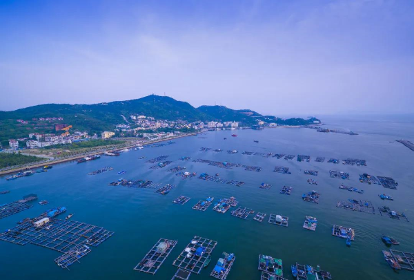 桂山島航拍圖（攝于2020年，珠海市橫琴新區(qū)黨政辦提供）.jpg