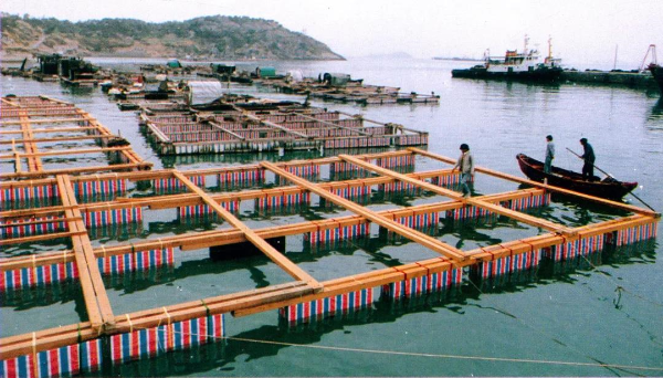 網(wǎng)箱養(yǎng)魚(yú)（來(lái)源：《珠海市志》）.jpg