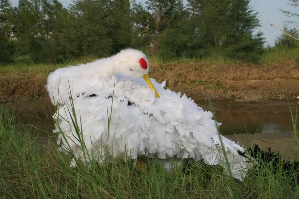 （珠海市金灣區(qū)人民政府地方志編纂中心供圖）3.jpg
