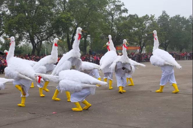 三灶鶴舞（珠海市金灣區(qū)人民政府地方志編纂中心供圖）.jpg