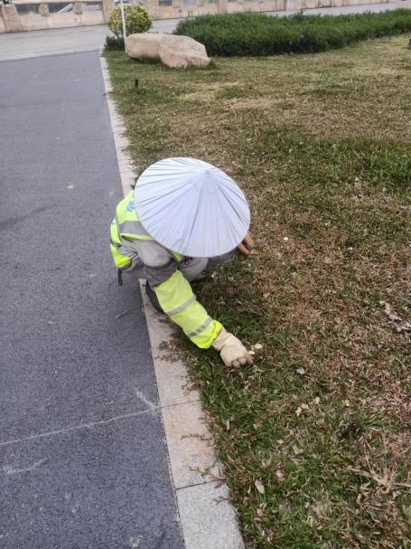 轉存圖片