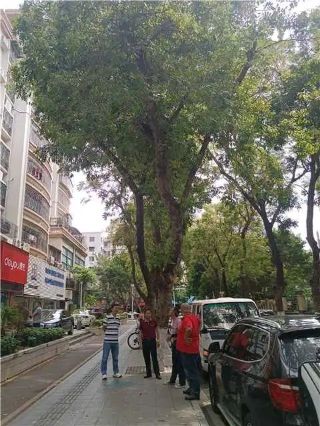 轉(zhuǎn)存圖片
