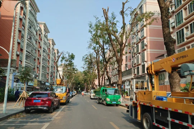 轉(zhuǎn)存圖片