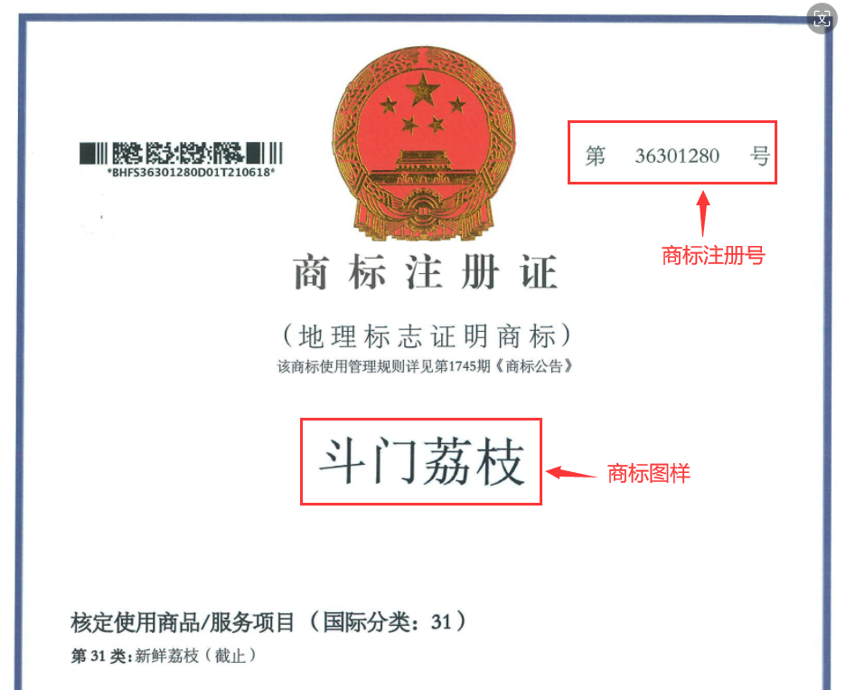 圖片1.png