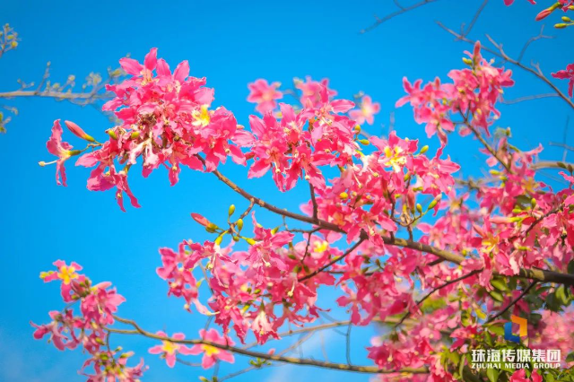 轉(zhuǎn)存圖片
