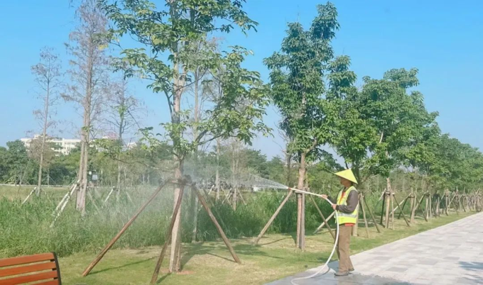 轉(zhuǎn)存圖片