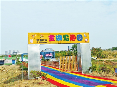 tqb0110003_004_01_b.jpg