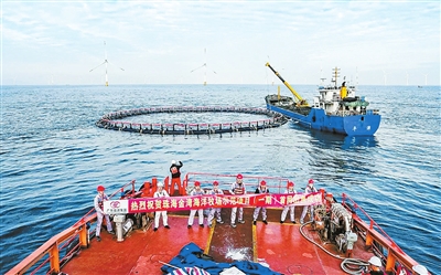 tqb0120002_003_01_b.jpg