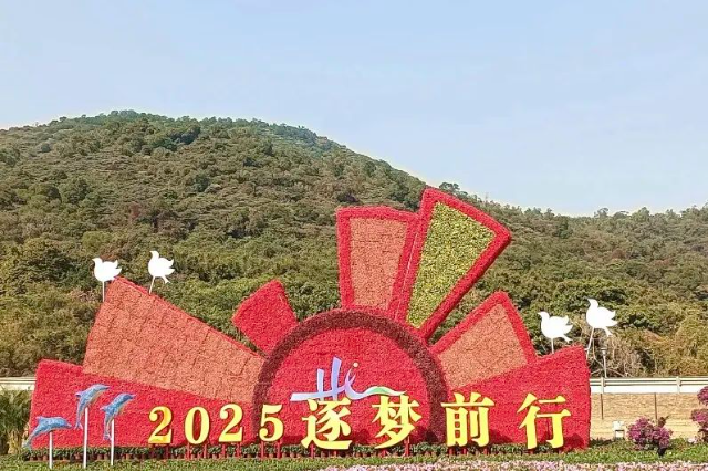圖片