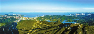 tqb0308006_001_01_b.jpg