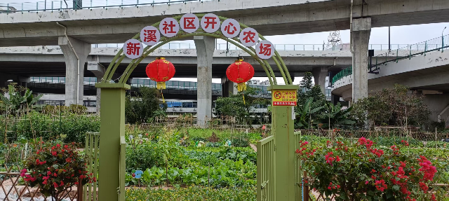 圖片6.jpg